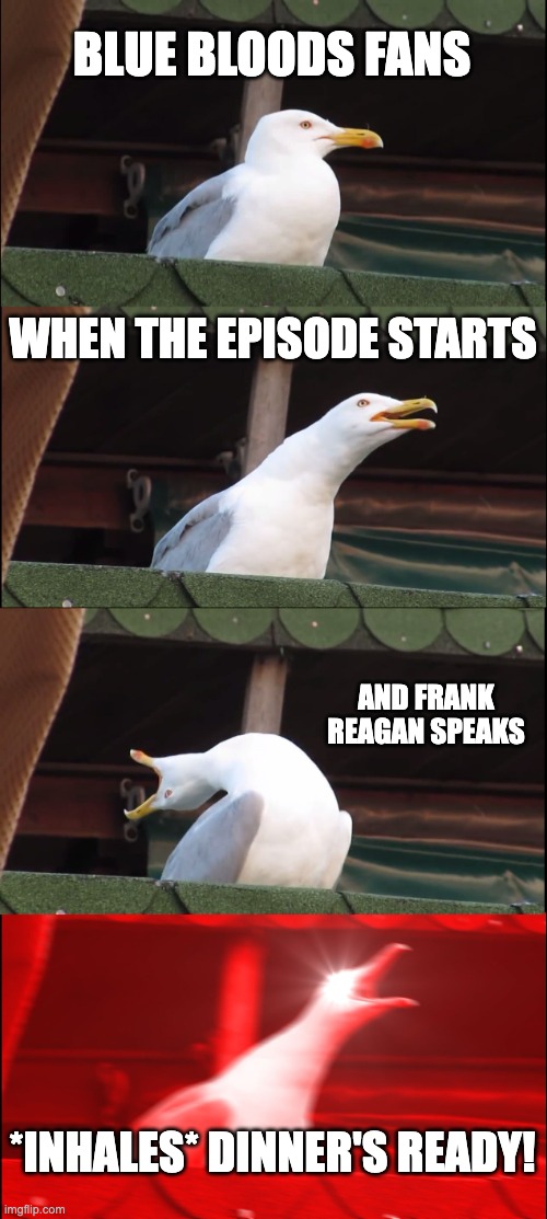 Dinner Time | BLUE BLOODS FANS; WHEN THE EPISODE STARTS; AND FRANK REAGAN SPEAKS; *INHALES* DINNER'S READY! | image tagged in memes,inhaling seagull,bluebloods,frankreagan | made w/ Imgflip meme maker