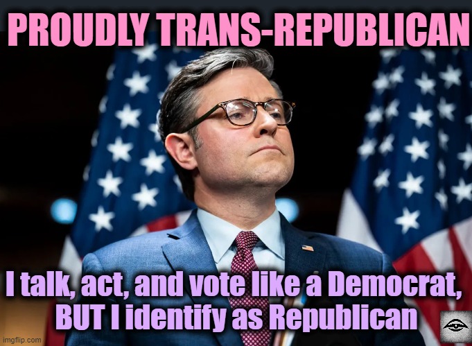 TransConservative | PROUDLY TRANS-REPUBLICAN; I talk, act, and vote like a Democrat, 
BUT I identify as Republican | image tagged in mike johnson,trans,trangender,democrats | made w/ Imgflip meme maker