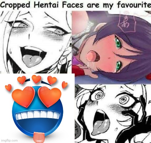 Cropped Hentai Faces are my favourite | image tagged in cropped hentai faces are my favourite | made w/ Imgflip meme maker