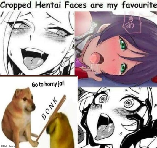 Cropped Hentai Faces are my favourite | image tagged in cropped hentai faces are my favourite | made w/ Imgflip meme maker