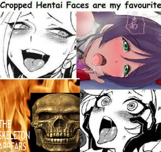 Cropped Hentai Faces are my favourite | image tagged in cropped hentai faces are my favourite | made w/ Imgflip meme maker