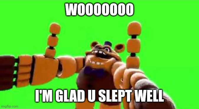 WoOoOo NoBoDy GiVeS A Shiii- | WOOOOOOO I'M GLAD U SLEPT WELL | image tagged in wooooo nobody gives a shiii- | made w/ Imgflip meme maker