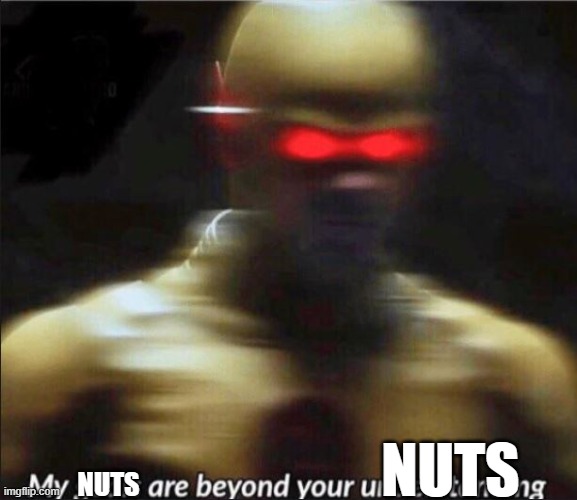 Yes | NUTS; NUTS | image tagged in my goals are beyond your understanding | made w/ Imgflip meme maker