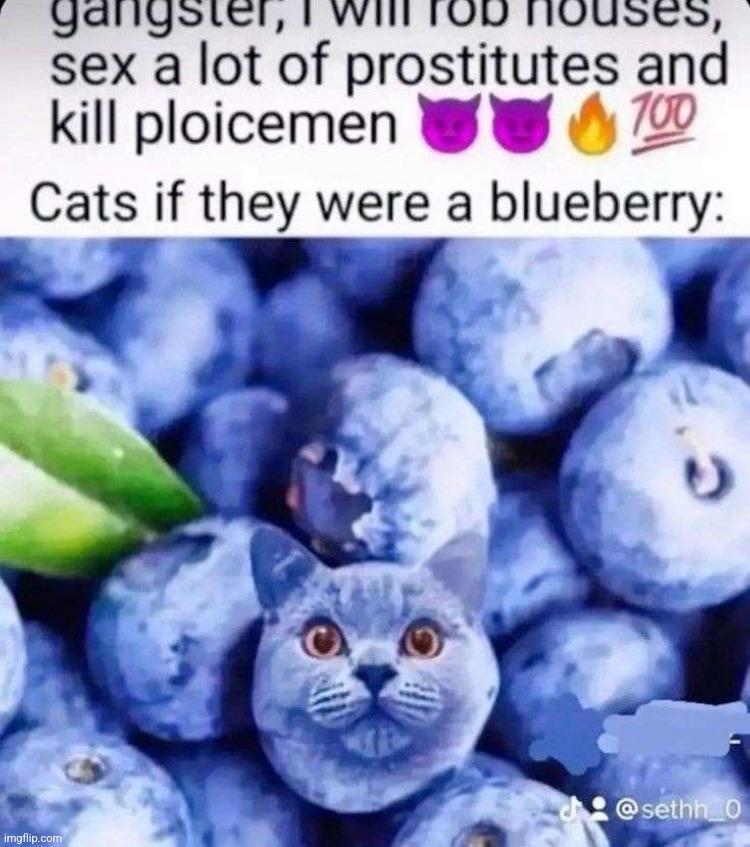 ploicemen | made w/ Imgflip meme maker