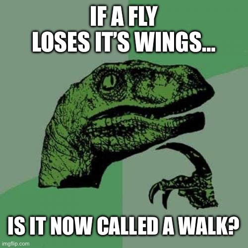 Philosoraptor | IF A FLY LOSES IT’S WINGS…; IS IT NOW CALLED A WALK? | image tagged in memes,philosoraptor | made w/ Imgflip meme maker