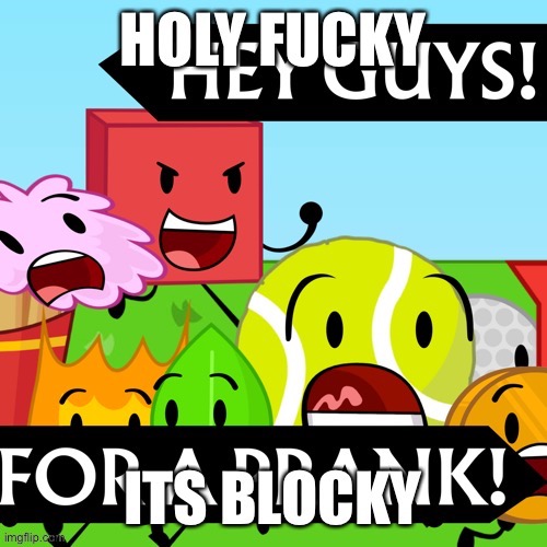 image tagged in holy fucky its blocky | made w/ Imgflip meme maker