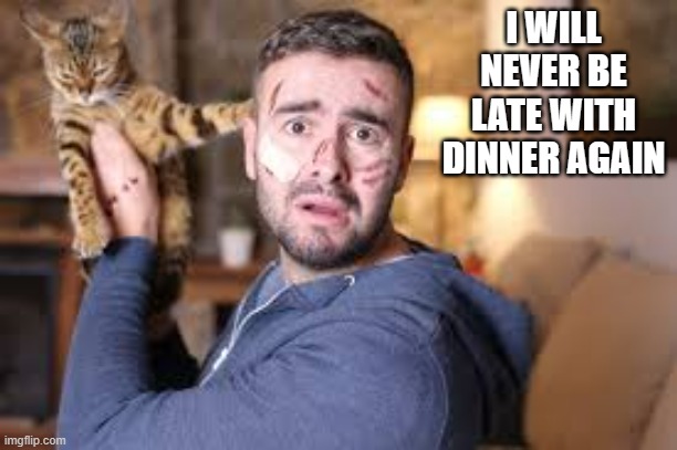 memes by Brad - cat attacks owner - humor | I WILL NEVER BE LATE WITH DINNER AGAIN | image tagged in funny,cats,kittens,funny cat,humor,cute kitten | made w/ Imgflip meme maker