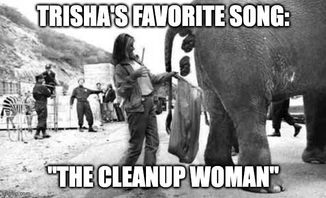 Elephant Poop Bad Day | TRISHA'S FAVORITE SONG:; "THE CLEANUP WOMAN" | image tagged in elephant poop bad day,bama football | made w/ Imgflip meme maker