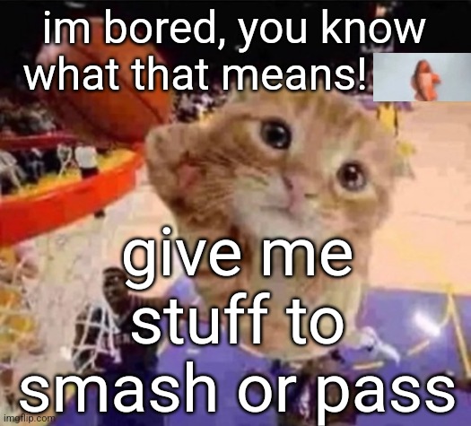 ballin cat | im bored, you know what that means! give me stuff to smash or pass | image tagged in ballin cat | made w/ Imgflip meme maker