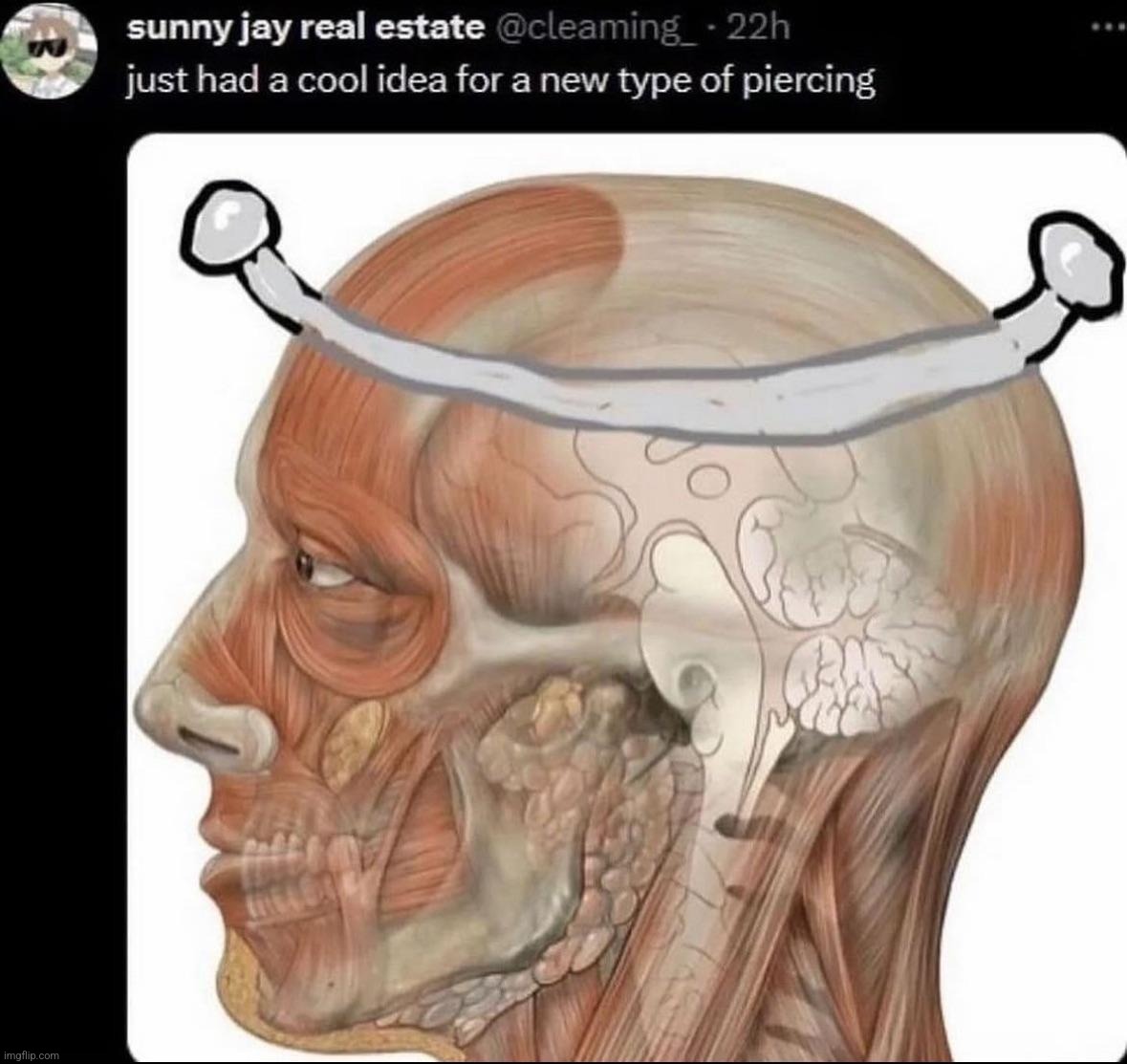 lobotomy piercing | made w/ Imgflip meme maker