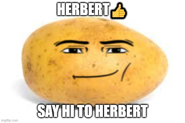 herbert | HERBERT👍; SAY HI TO HERBERT | image tagged in potato,roblox,boblox | made w/ Imgflip meme maker