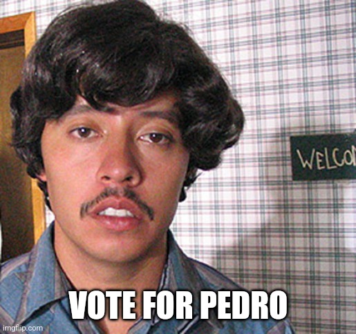 Vote for Pedro  | VOTE FOR PEDRO | image tagged in vote for pedro | made w/ Imgflip meme maker