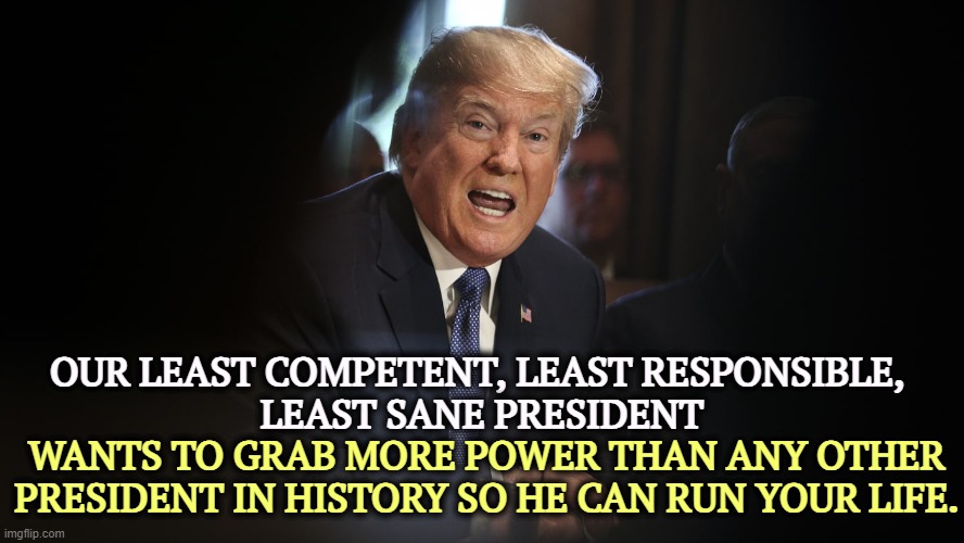 Yes, you. Your life. Don't think you're safe. | OUR LEAST COMPETENT, LEAST RESPONSIBLE, 
LEAST SANE PRESIDENT; WANTS TO GRAB MORE POWER THAN ANY OTHER PRESIDENT IN HISTORY SO HE CAN RUN YOUR LIFE. | image tagged in trump angry shouting with teeth,trump,incompetence,responsibility,sanity,insanity | made w/ Imgflip meme maker