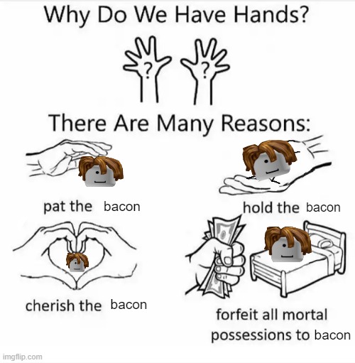 Why do we have hands? (all blank) | bacon; bacon; bacon; bacon | image tagged in why do we have hands all blank,roblox meme'i,raise a bacon | made w/ Imgflip meme maker