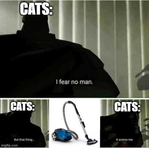 soober scary | CATS:; CATS:; CATS: | image tagged in i fear no man | made w/ Imgflip meme maker