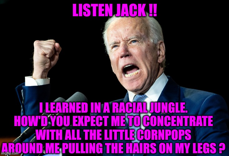 LISTEN JACK !! I LEARNED IN A RACIAL JUNGLE. HOW'D YOU EXPECT ME TO CONCENTRATE WITH ALL THE LITTLE CORNPOPS AROUND ME PULLING THE HAIRS ON  | image tagged in joe biden - nap times for everyone | made w/ Imgflip meme maker