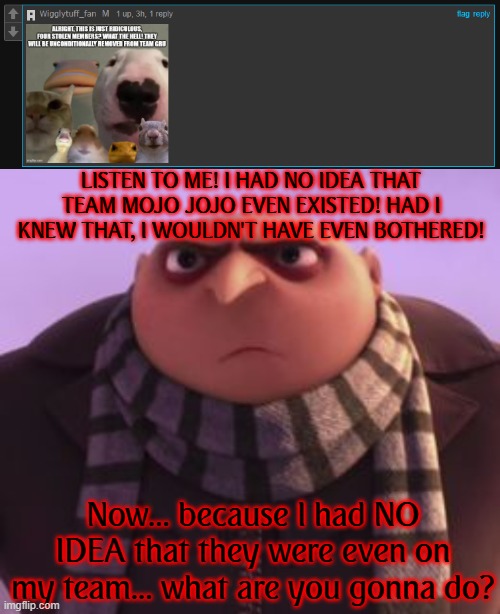 Gru is not happy | LISTEN TO ME! I HAD NO IDEA THAT TEAM MOJO JOJO EVEN EXISTED! HAD I KNEW THAT, I WOULDN'T HAVE EVEN BOTHERED! Now... because I had NO IDEA that they were even on my team... what are you gonna do? | image tagged in gru angry | made w/ Imgflip meme maker