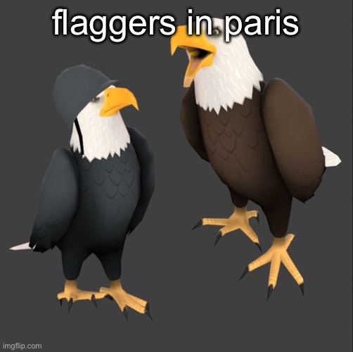 tf2 eagles | flaggers in paris | image tagged in tf2 eagles | made w/ Imgflip meme maker