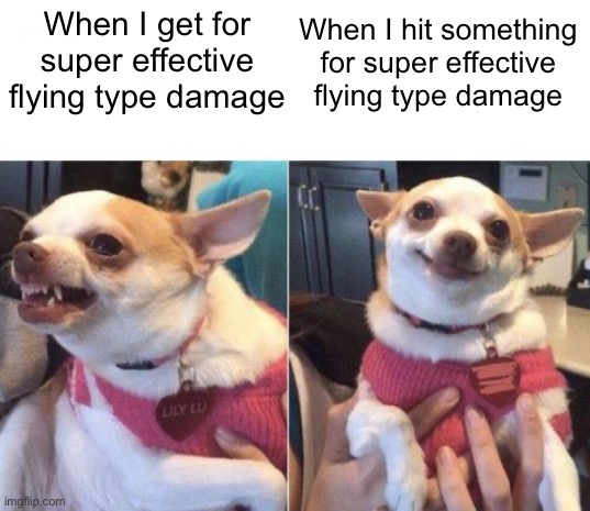 It’s super effective! | When I get for super effective flying type damage; When I hit something for super effective flying type damage | image tagged in angry chihuahua happy chihuahua,pokemon,pokemon go,flying,super effective | made w/ Imgflip meme maker