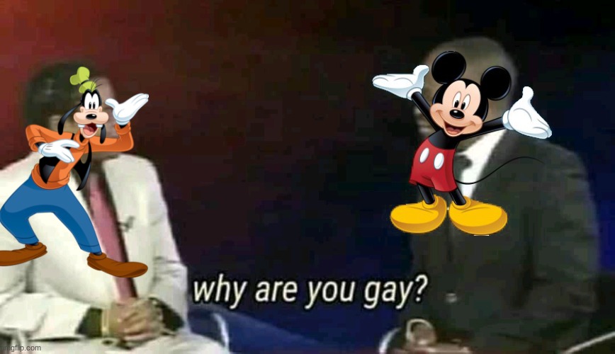 Why are you gay? | image tagged in why are you gay | made w/ Imgflip meme maker