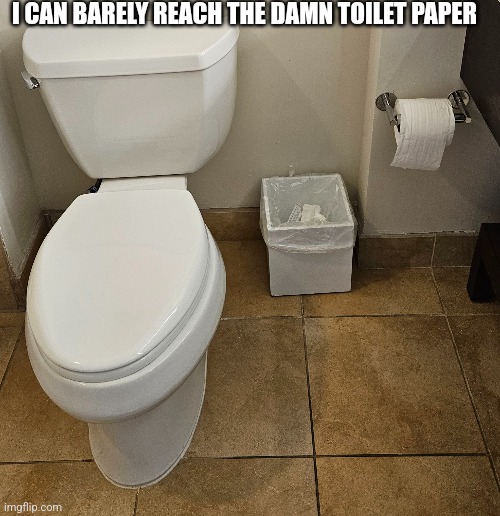 The toilet paper is too far away | I CAN BARELY REACH THE DAMN TOILET PAPER | image tagged in you had one job | made w/ Imgflip meme maker