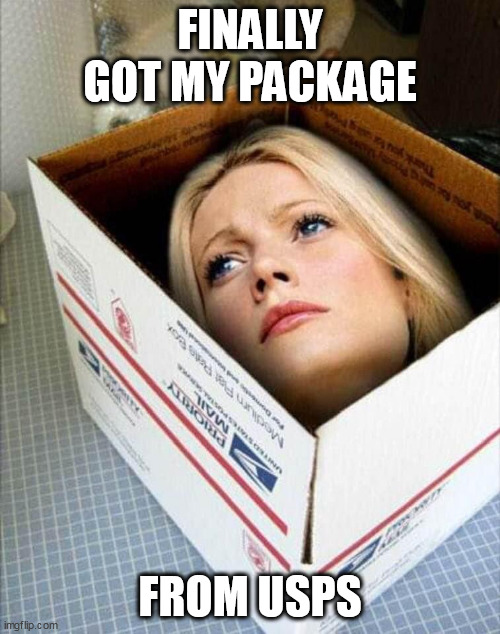 Finally got my package | FINALLY GOT MY PACKAGE; FROM USPS | image tagged in package,dark humor,seven,usps,box | made w/ Imgflip meme maker