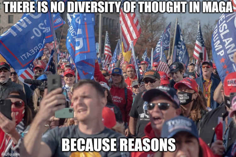 And other things they can't have you noticing | THERE IS NO DIVERSITY OF THOUGHT IN MAGA; BECAUSE REASONS | image tagged in the truth | made w/ Imgflip meme maker