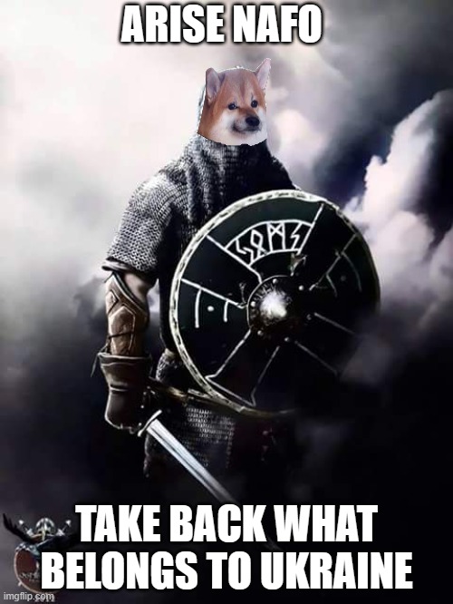 NAFO viking | ARISE NAFO; TAKE BACK WHAT BELONGS TO UKRAINE | image tagged in viking warrior | made w/ Imgflip meme maker
