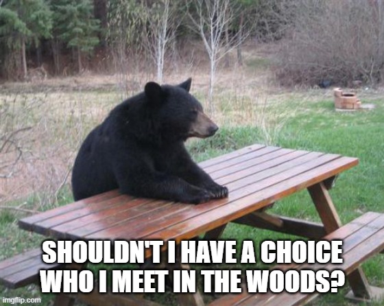 Bad Luck Bear | SHOULDN'T I HAVE A CHOICE WHO I MEET IN THE WOODS? | image tagged in memes,bad luck bear | made w/ Imgflip meme maker