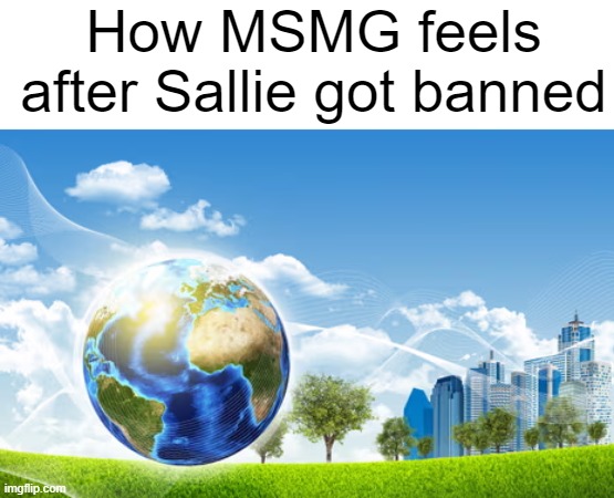 im bringing back up old stuff because im a meanie | How MSMG feels after Sallie got banned | image tagged in how it feels to | made w/ Imgflip meme maker