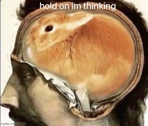 del, your bnuyy is next | made w/ Imgflip meme maker