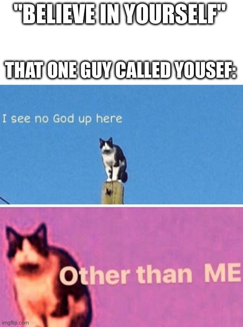 Praise Him! | "BELIEVE IN YOURSELF"; THAT ONE GUY CALLED YOUSEF: | image tagged in hail pole cat | made w/ Imgflip meme maker