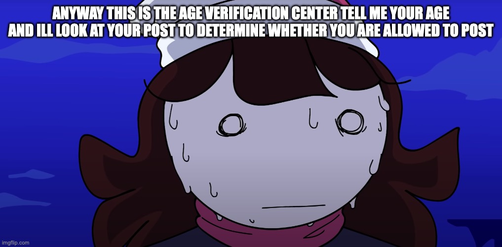 Jaiden sweating nervously | ANYWAY THIS IS THE AGE VERIFICATION CENTER TELL ME YOUR AGE AND ILL LOOK AT YOUR POST TO DETERMINE WHETHER YOU ARE ALLOWED TO POST | image tagged in jaiden sweating nervously | made w/ Imgflip meme maker