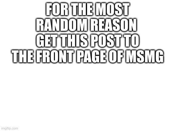 for no reason at all | FOR THE MOST RANDOM REASON 
GET THIS POST TO THE FRONT PAGE OF MSMG | image tagged in blank white template | made w/ Imgflip meme maker