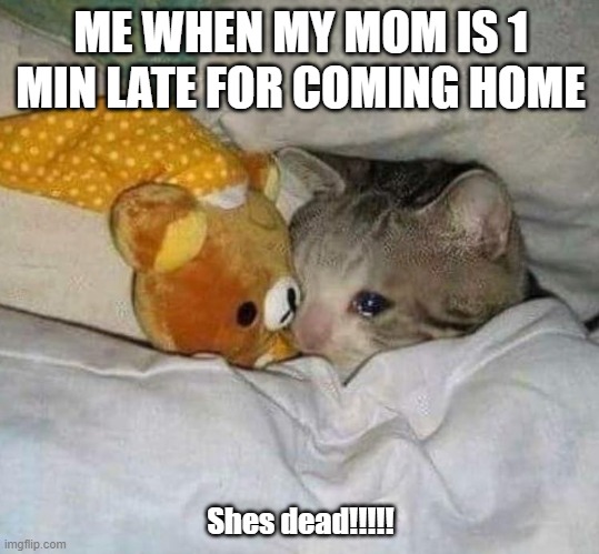 im worried | ME WHEN MY MOM IS 1 MIN LATE FOR COMING HOME; Shes dead!!!!! | image tagged in crying cat | made w/ Imgflip meme maker
