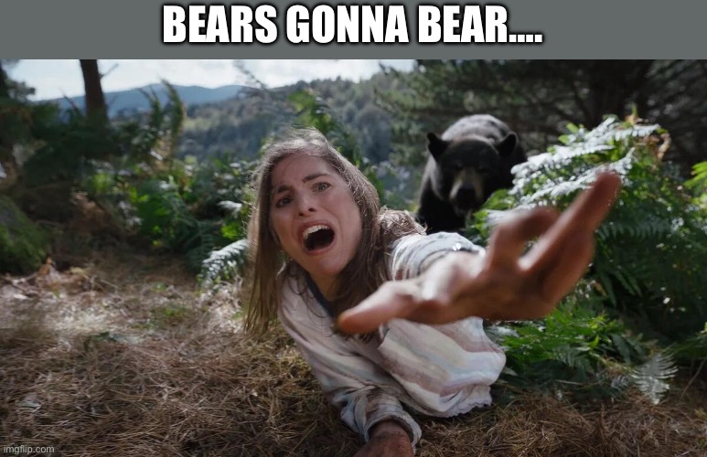 BEARS GONNA BEAR…. | image tagged in bear,woman,tiktok sucks,tiktok,tik tok sucks | made w/ Imgflip meme maker