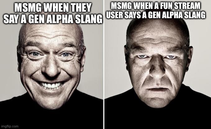 Dean Norris reaction | MSMG WHEN A FUN STREAM USER SAYS A GEN ALPHA SLANG; MSMG WHEN THEY SAY A GEN ALPHA SLANG | image tagged in dean norris reaction | made w/ Imgflip meme maker