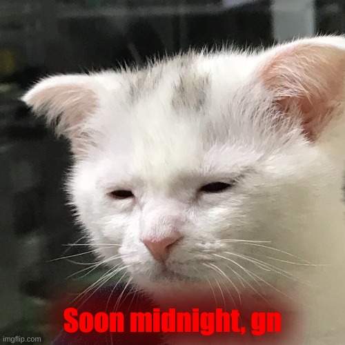 . | Soon midnight, gn | image tagged in good night everyone | made w/ Imgflip meme maker