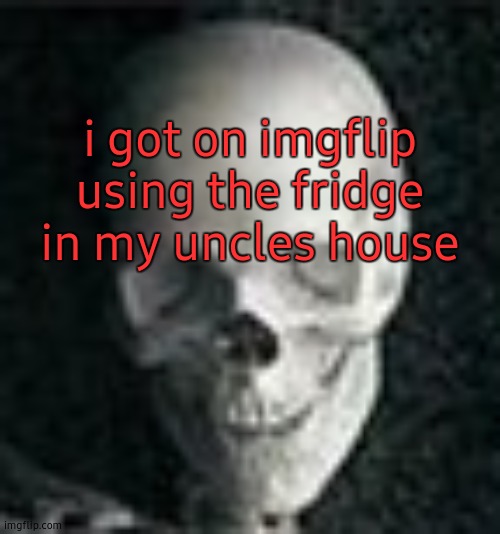 Skull | i got on imgflip using the fridge in my uncles house | image tagged in skull | made w/ Imgflip meme maker