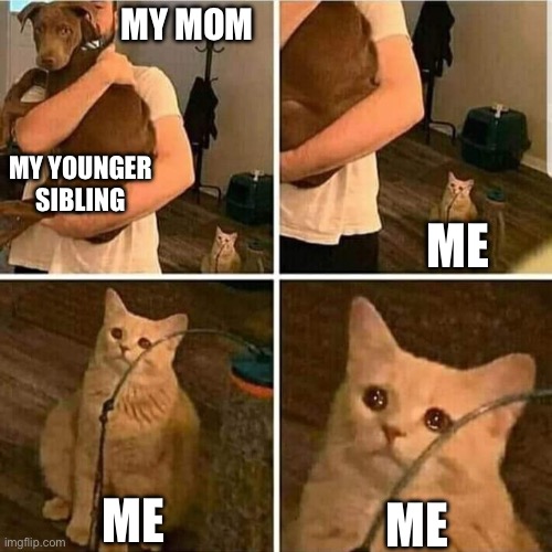 Sad Cat Holding Dog | MY MOM; MY YOUNGER SIBLING; ME; ME; ME | image tagged in sad cat holding dog | made w/ Imgflip meme maker