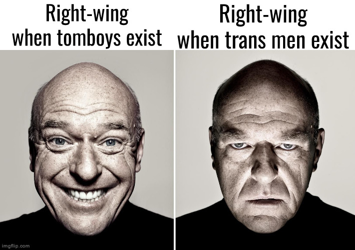 Hank Smiling/Frowning | Right-wing when trans men exist; Right-wing when tomboys exist | image tagged in hank smiling/frowning | made w/ Imgflip meme maker