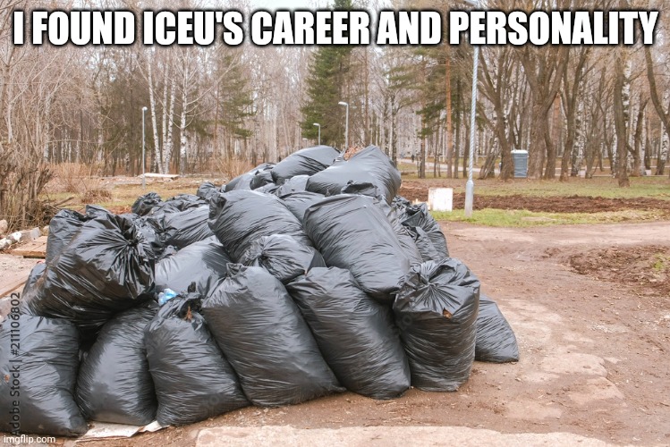 mod note: lil bro be spitting facts | I FOUND ICEU'S CAREER AND PERSONALITY | image tagged in garbage bags,iceu | made w/ Imgflip meme maker