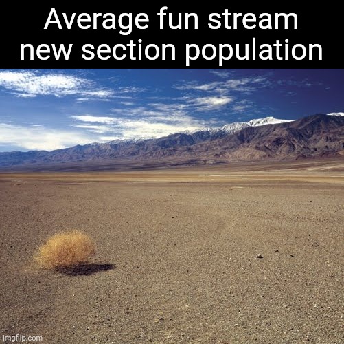 So empty | Average fun stream new section population | image tagged in desert tumbleweed,empty,memes,fun | made w/ Imgflip meme maker