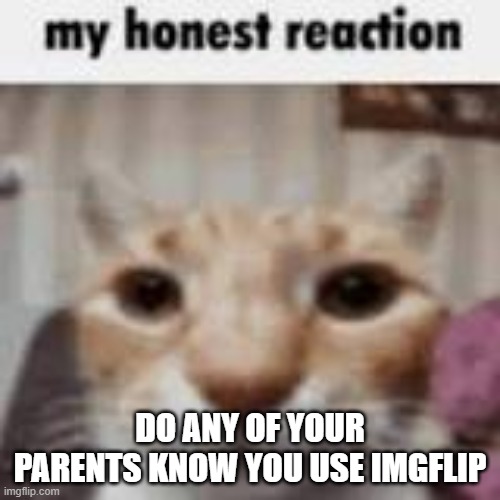 My Honest Reaction | DO ANY OF YOUR PARENTS KNOW YOU USE IMGFLIP | image tagged in my honest reaction | made w/ Imgflip meme maker