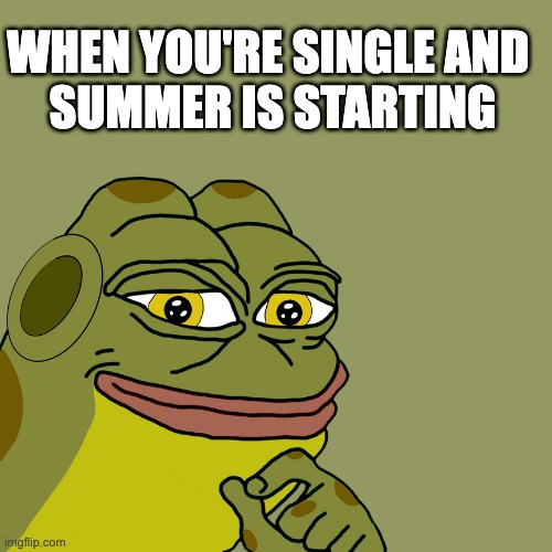 fun time soon | WHEN YOU'RE SINGLE AND 
SUMMER IS STARTING | image tagged in hoppy smile | made w/ Imgflip meme maker