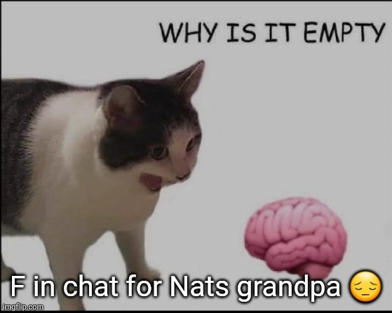 F | F in chat for Nats grandpa 😔 | image tagged in hrelp me | made w/ Imgflip meme maker