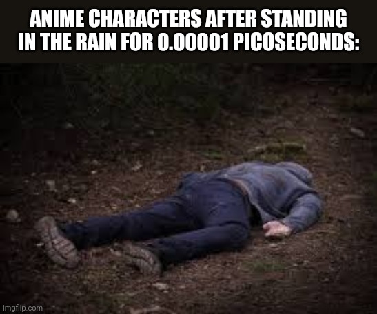 the rain is basically an anime character's cyanide | ANIME CHARACTERS AFTER STANDING IN THE RAIN FOR 0.00001 PICOSECONDS: | image tagged in dead body | made w/ Imgflip meme maker