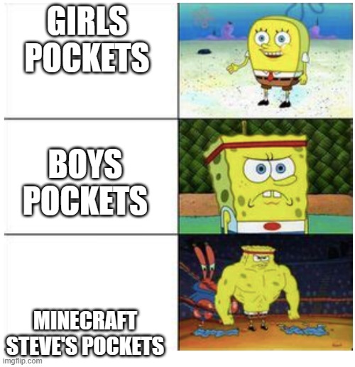Pockets | GIRLS POCKETS; BOYS POCKETS; MINECRAFT STEVE'S POCKETS | image tagged in buff spongebob 3-panel | made w/ Imgflip meme maker