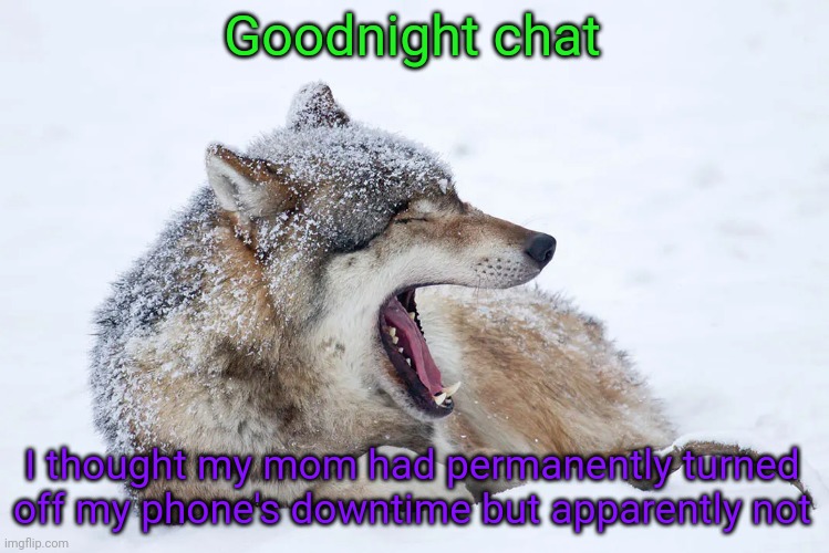 :-( | Goodnight chat; I thought my mom had permanently turned off my phone's downtime but apparently not | image tagged in yawning wolf | made w/ Imgflip meme maker