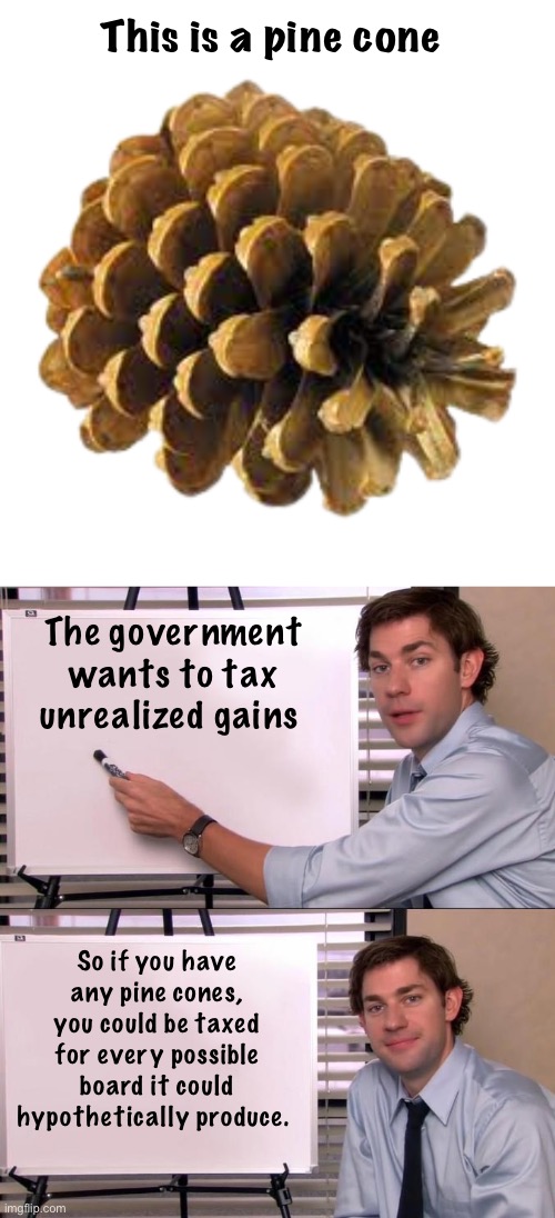 Same for acorns. | This is a pine cone; The government wants to tax unrealized gains; So if you have any pine cones, you could be taxed for every possible board it could hypothetically produce. | image tagged in pine cone,jim halpert explains,politics lol,memes | made w/ Imgflip meme maker